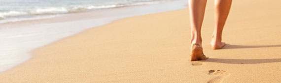 Busca tu hotel, viaje, playa, destino...