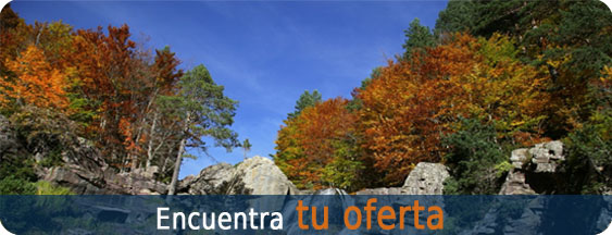 Encuentra tu Oferta de Verano