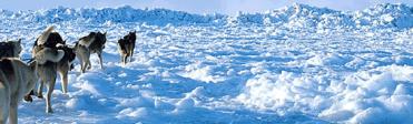 Actividades Invernales