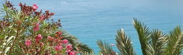 Costa Tropical