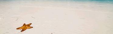 Playas