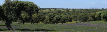 Extremadura