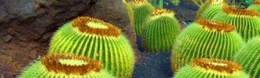 Islas Canarias